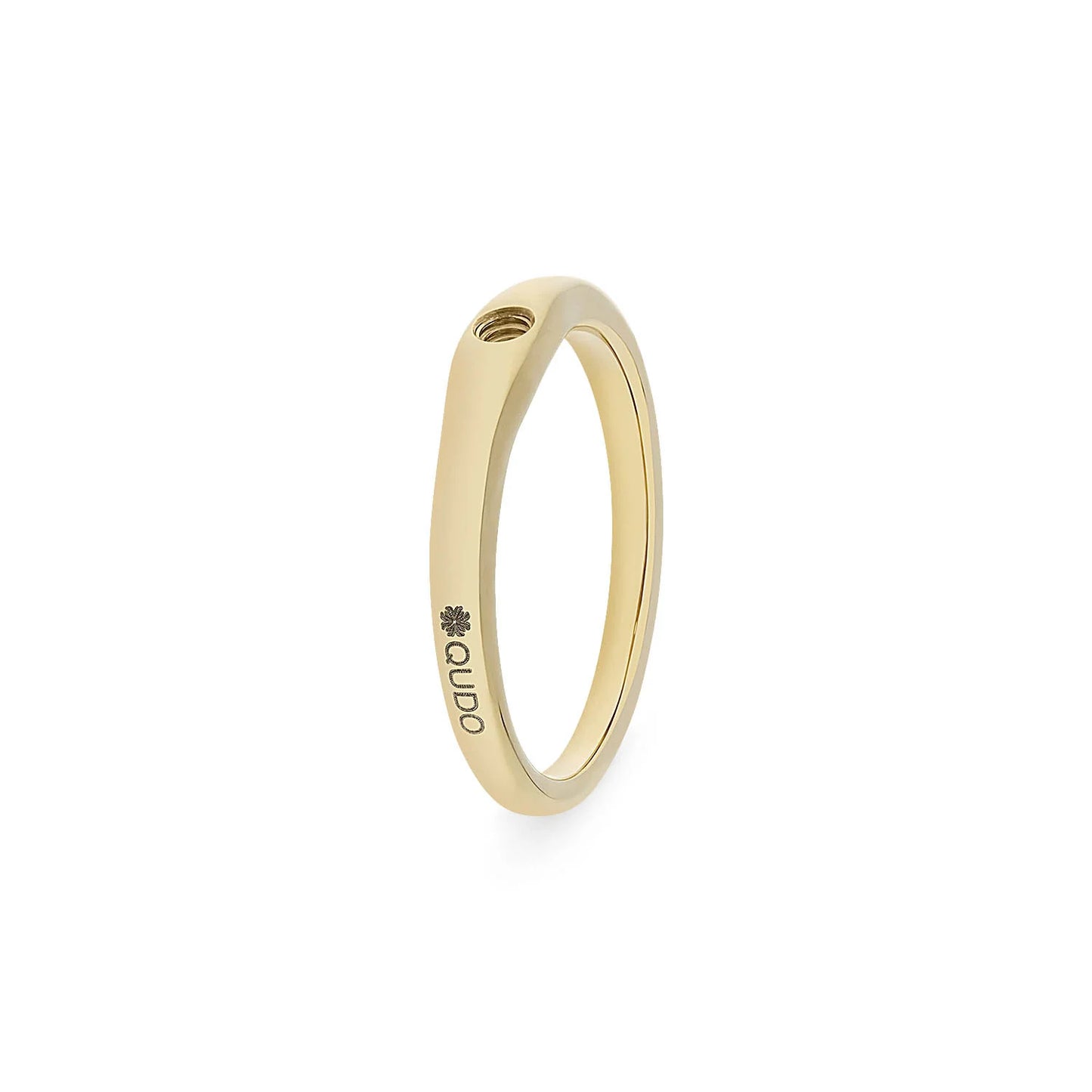 Basic Ring Fine (G/P)
