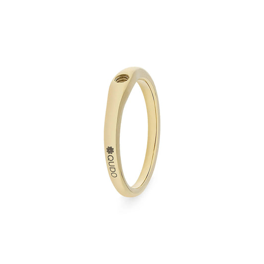 Basic Ring Fine (G/P)