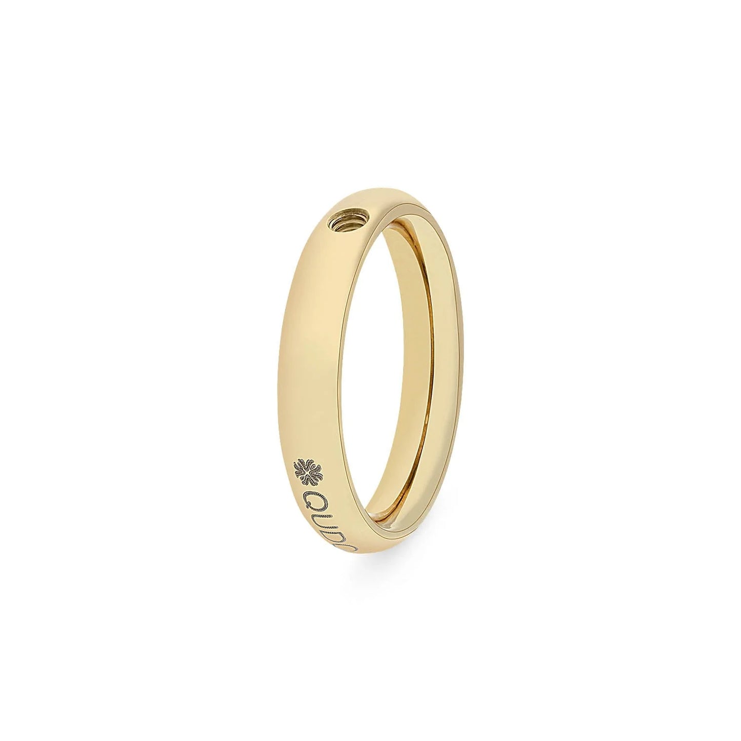 Basic Ring small (G/P)