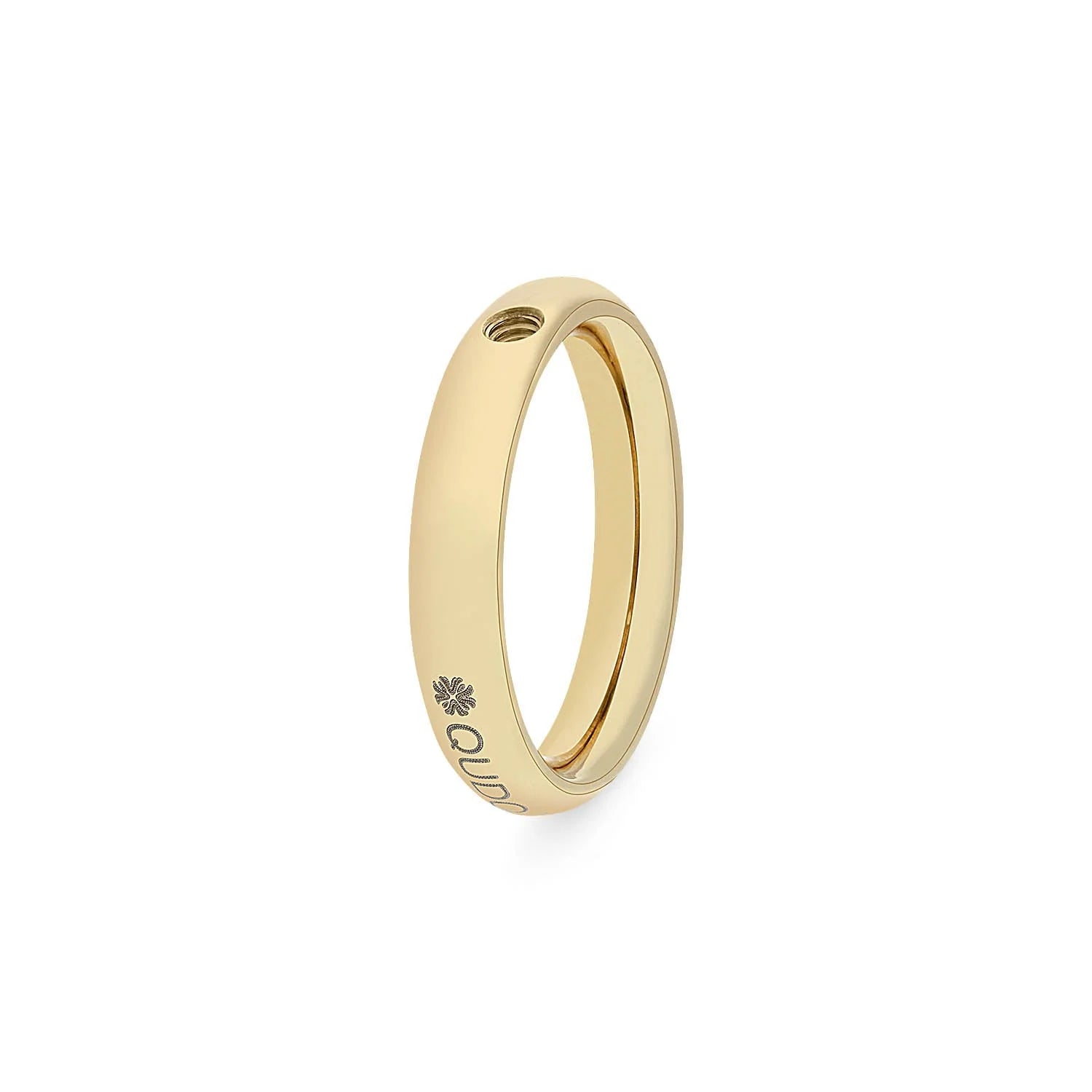 Basic Ring small (G/P)