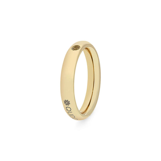 Basic Ring small (G/P)