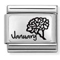330112/13 Classic MONTH FLOWER PLATES (IC) steel, 925 silver. January