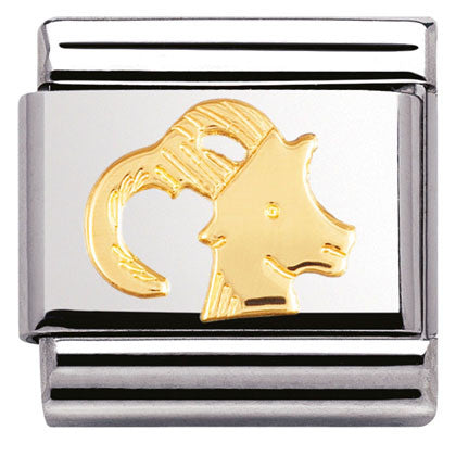 030104/10 Classic ZODIAC,S/Steel,Bonded Yellow Gold Capricorn