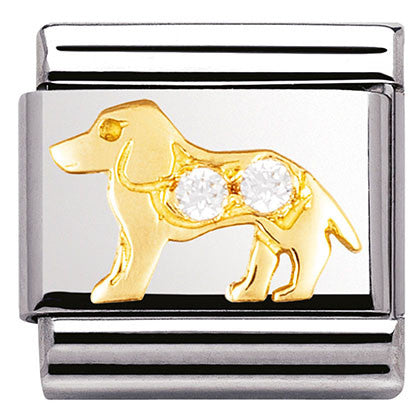 030305/21  Classic,S/Steel. Bonded Yellow gold,CZ, White Dog